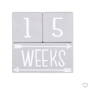 Peanutshell milestone Blocks